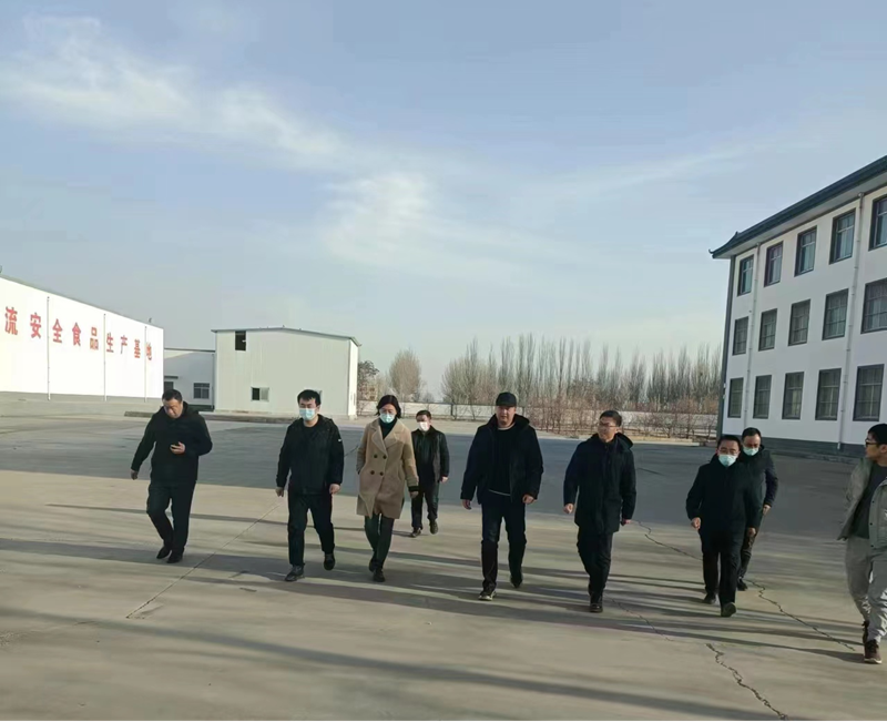 石嘴山市副市長、惠農(nóng)區(qū)委書記王宇翔蒞臨寧夏興康恒潤農(nóng)業(yè)科技發(fā)展有限公司調(diào)研