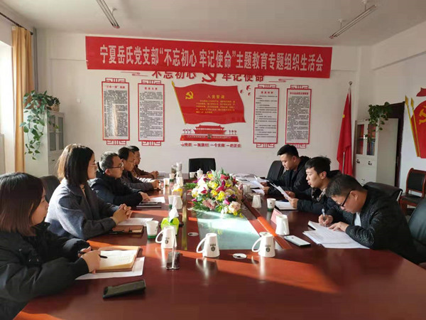 寧夏岳氏黨支部召開(kāi)“不忘初心，牢記使命”主題教育專題組織生活會(huì)