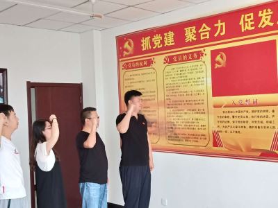 寧夏岳氏開(kāi)展“不忘初心，牢記使命”主題黨日活動(dòng)